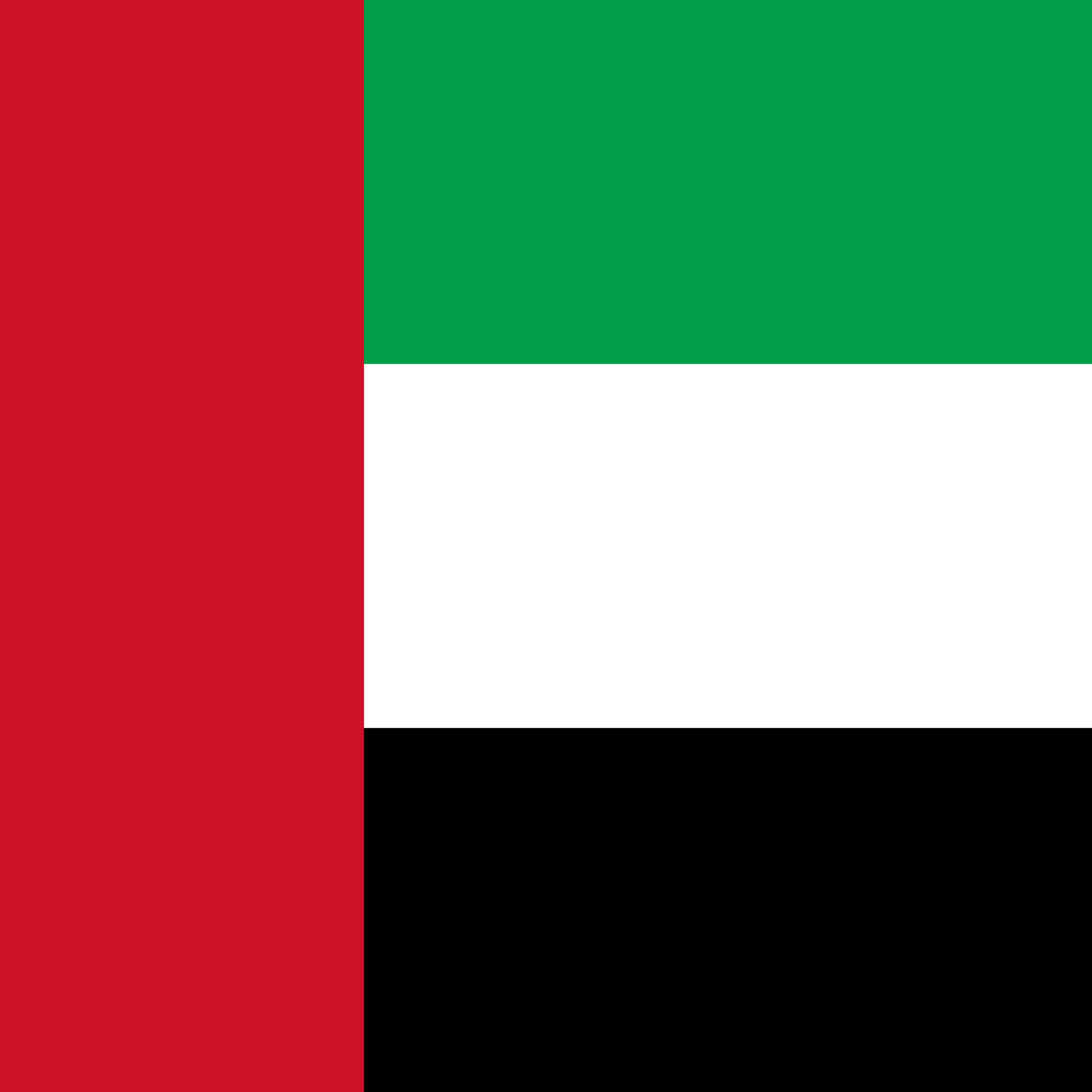 United arab emirates flag